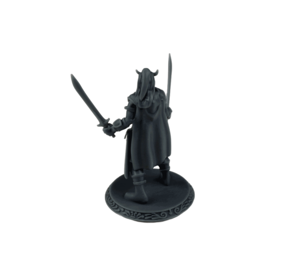 Mini-F25-Tiefling-Female-Dual-Sword-Back