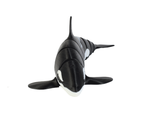 Toy-Art-Orca-Front
