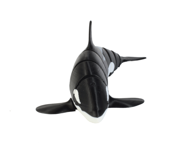 Toy-Art-Orca-Front